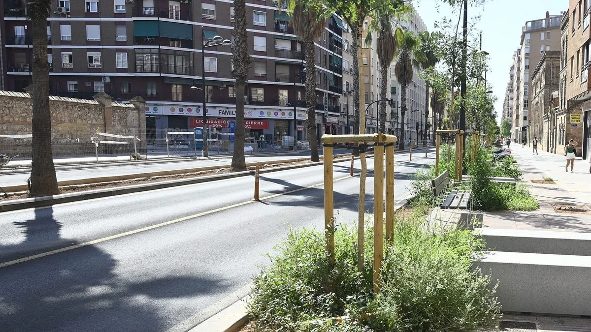 Imagen ilustrativa: avenida en obras con aceras nuevas y árboles recién plantados, sin personas.