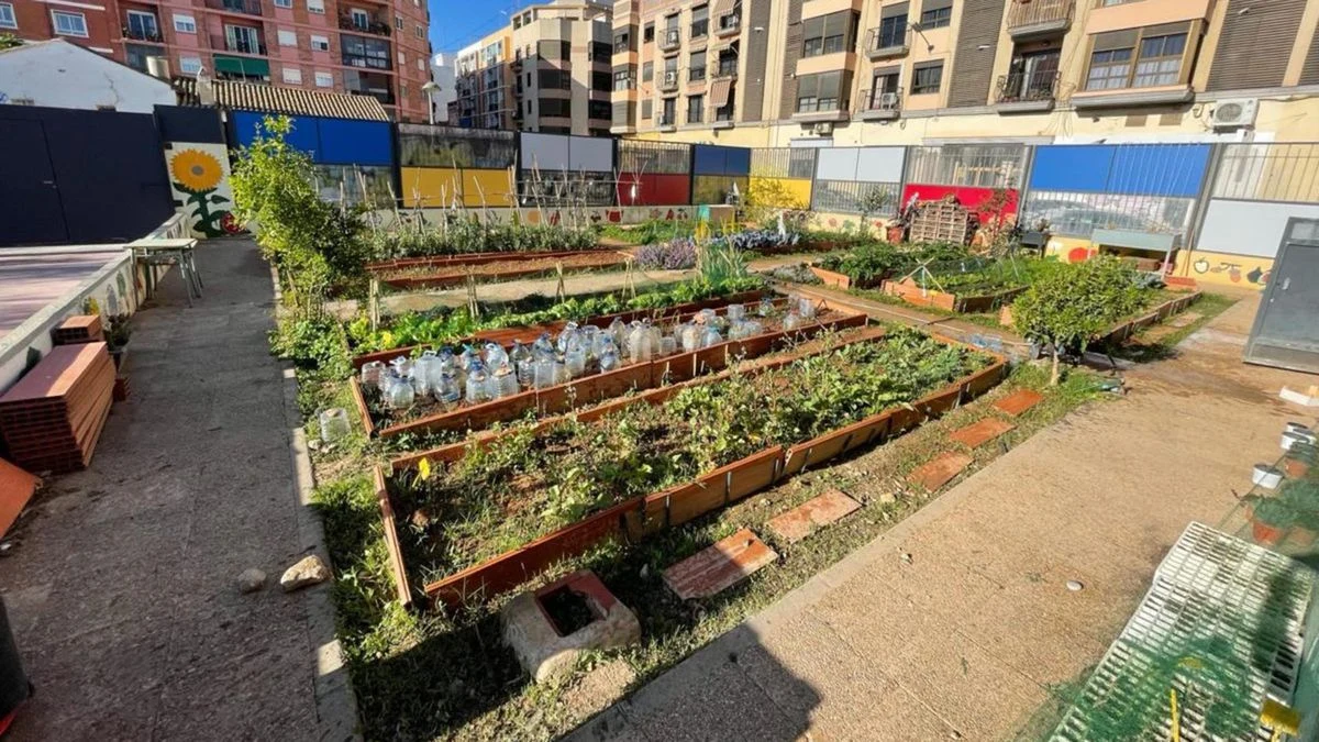 Imagen ilustrativa: alumnos de espaldas en un patio escolar durante una actividad educativa.